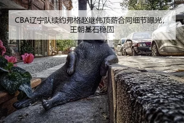 CBA辽宁队续约弗格赵继伟顶薪合同细节曝光，王朝基石稳固