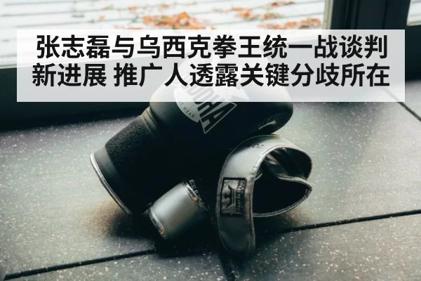 张志磊与乌西克拳王统一战谈判新进展 推广人透露关键分歧所在