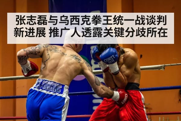professional boxing match